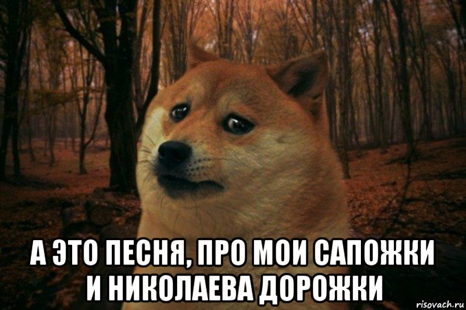  а это песня, про мои сапожки и николаева дорожки, Мем SAD DOGE