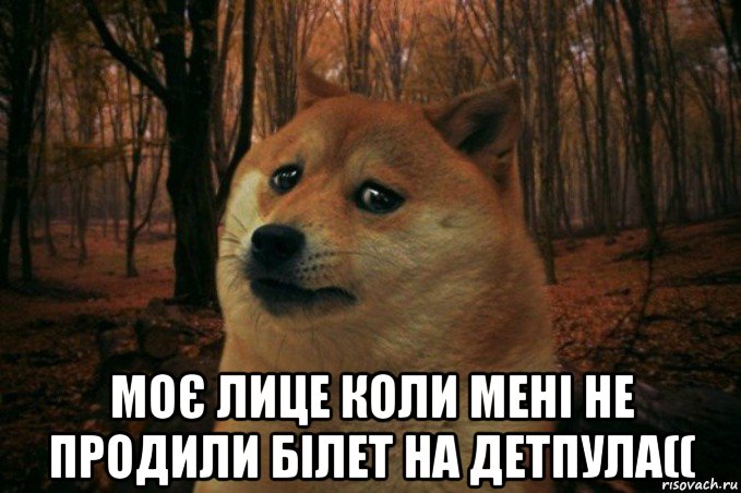  моє лице коли мені не продили білет на детпула((, Мем SAD DOGE