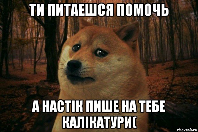 ти питаешся помочь а настік пише на тебе калікатури(, Мем SAD DOGE