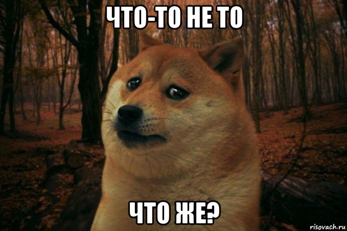 что-то не то что же?, Мем SAD DOGE