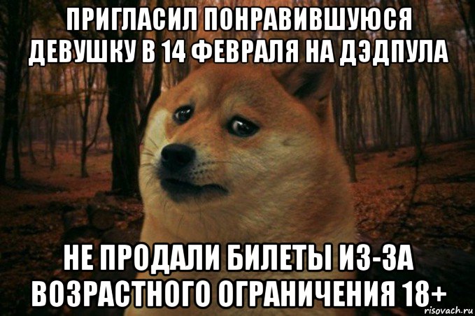 пригласил понравившуюся девушку в 14 февраля на дэдпула не продали билеты из-за возрастного ограничения 18+, Мем SAD DOGE