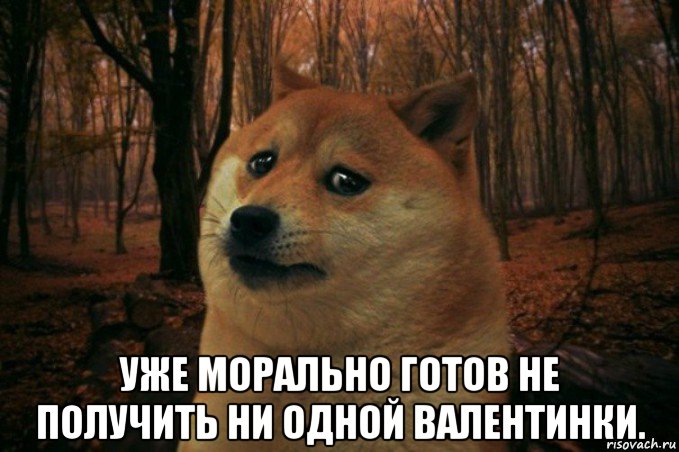  уже морально готов не получить ни одной валентинки., Мем SAD DOGE