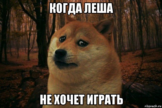 когда леша не хочет играть, Мем SAD DOGE