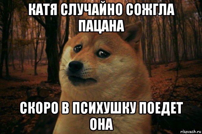 катя случайно сожгла пацана скоро в психушку поедет она, Мем SAD DOGE