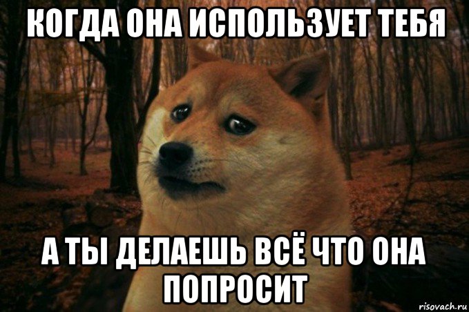 когда она использует тебя а ты делаешь всё что она попросит, Мем SAD DOGE