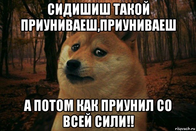 сидишиш такой приуниваеш,приуниваеш а потом как приунил со всей сили!!, Мем SAD DOGE