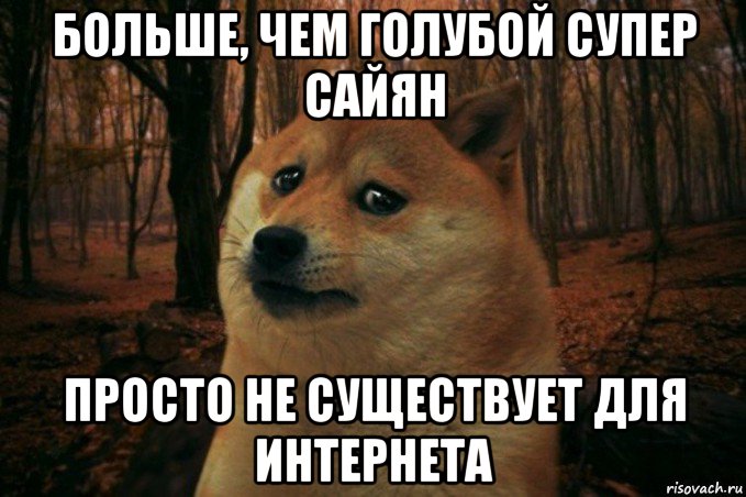 больше, чем голубой супер сайян просто не существует для интернета, Мем SAD DOGE