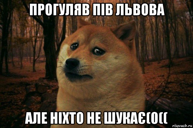 прогуляв пів львова але ніхто не шукає(0((, Мем SAD DOGE