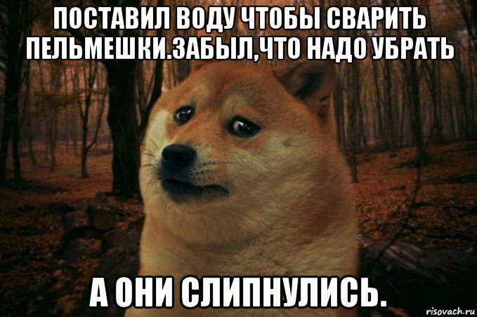 поставил воду чтобы сварить пельмешки.забыл,что надо убрать а они слипнулись., Мем SAD DOGE