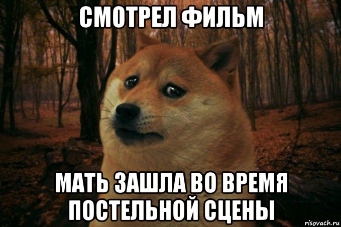 смотрел фильм мать зашла во время постельной сцены, Мем SAD DOGE