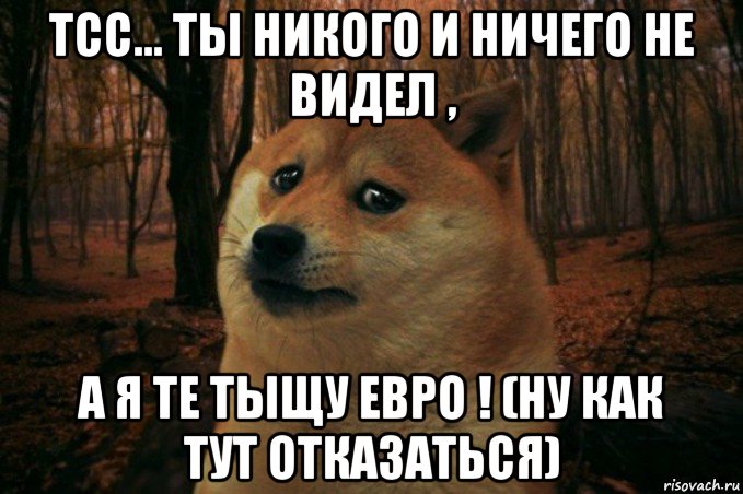 тсс... ты никого и ничего не видел , а я те тыщу евро ! (ну как тут отказаться), Мем SAD DOGE