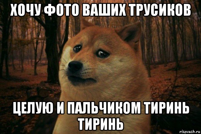 хочу фото ваших трусиков целую и пальчиком тиринь тиринь, Мем SAD DOGE