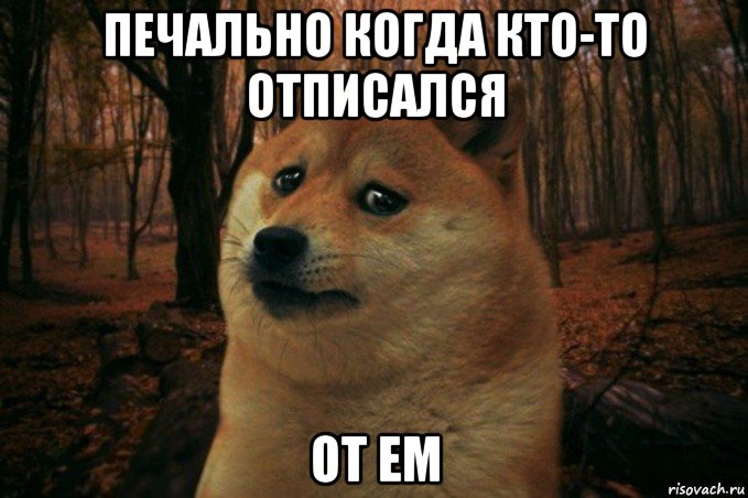 печально когда кто-то отписался от ем, Мем SAD DOGE