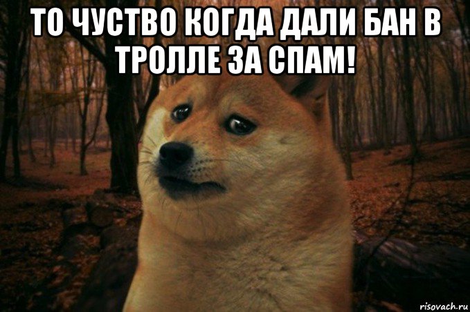 то чуство когда дали бан в тролле за спам! , Мем SAD DOGE