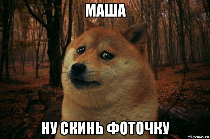 маша ну скинь фоточку, Мем SAD DOGE