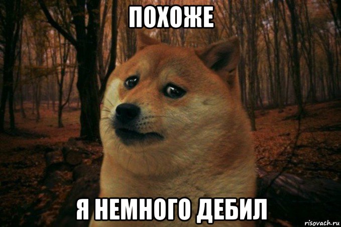 похоже я немного дебил, Мем SAD DOGE