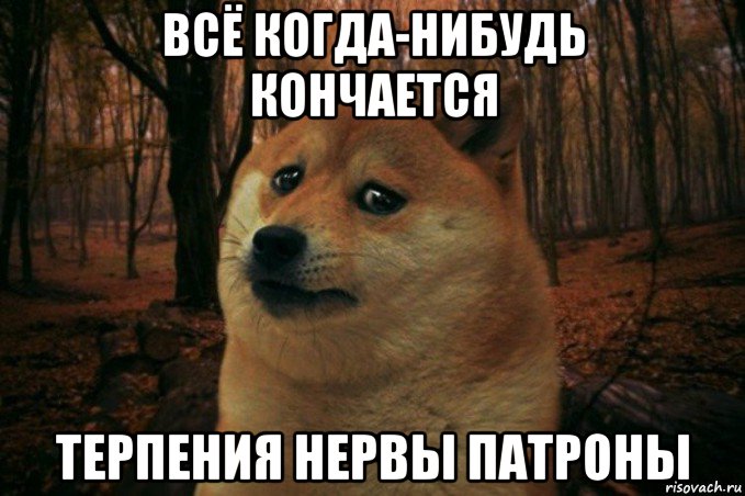 всё когда-нибудь кончается терпения нервы патроны, Мем SAD DOGE