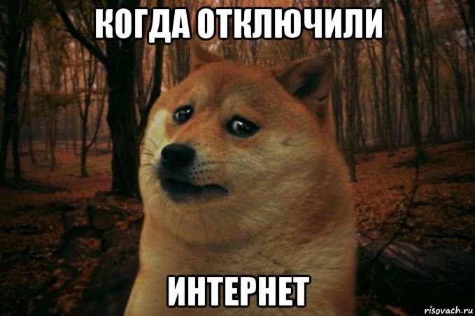 когда отключили интернет, Мем SAD DOGE