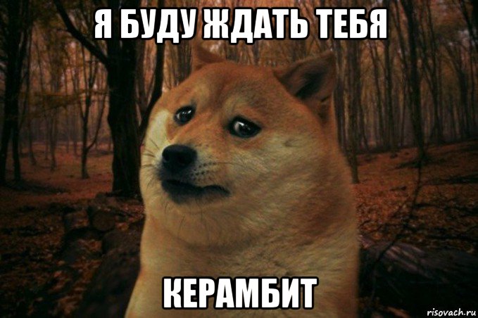 я буду ждать тебя керамбит, Мем SAD DOGE