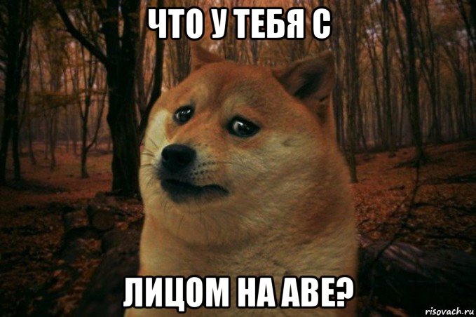 что у тебя с лицом на аве?, Мем SAD DOGE