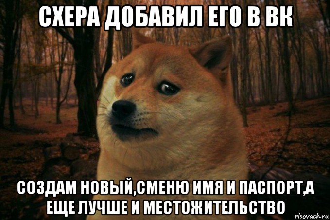 схера добавил его в вк создам новый,сменю имя и паспорт,а еще лучше и местожительство, Мем SAD DOGE