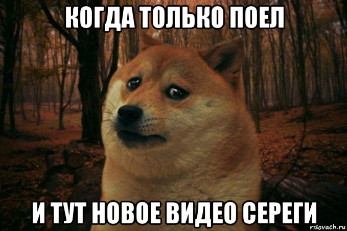 когда только поел и тут новое видео сереги, Мем SAD DOGE