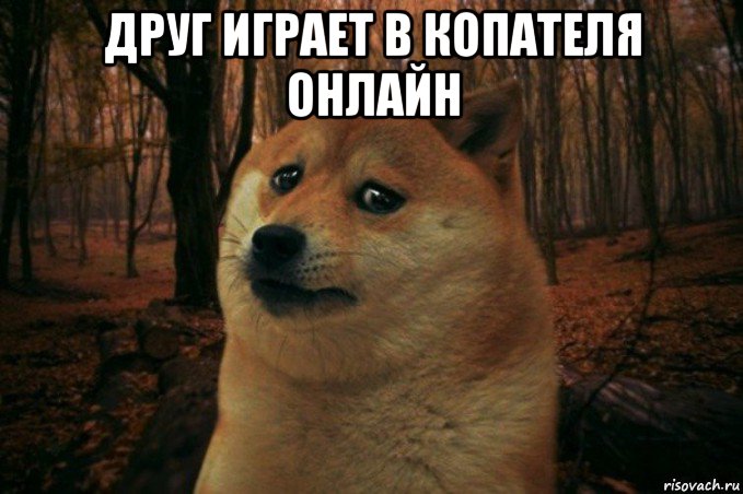 друг играет в копателя онлайн , Мем SAD DOGE