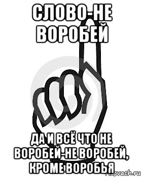 слово-не воробей да и всё что не воробей-не воробей, кроме воробья, Мем Сейчас этот пидор напишет хуйню