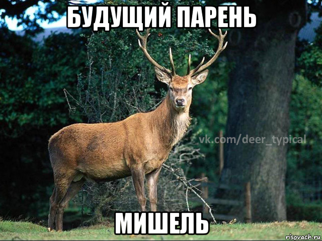 будущий парень мишель, Мем Паблик Типичный олень