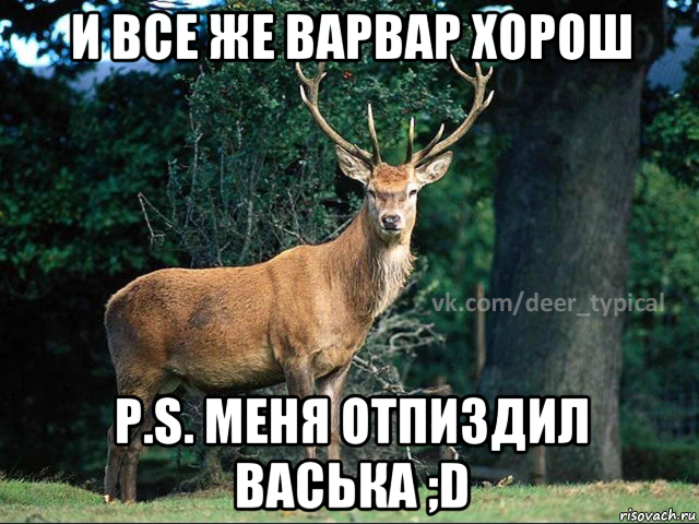 и все же варвар хорош p.s. меня отпиздил васька ;d, Мем Паблик Типичный олень