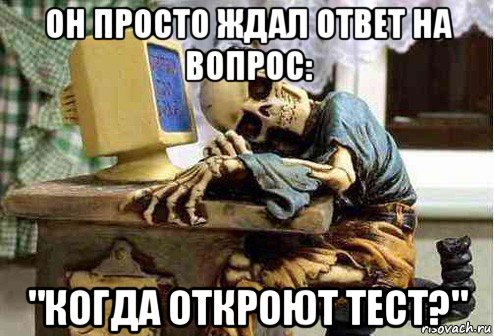 он просто ждал ответ на вопрос: "когда откроют тест?", Мем скелет ждет