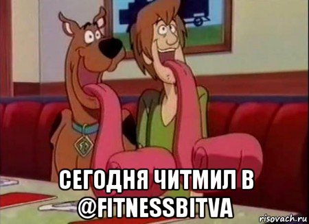  сегодня читмил в @fitnessbitva