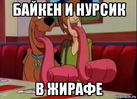 байкен и нурсик в жирафе, Мем Скуби ду