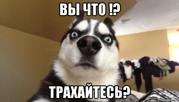 вы что !? трахайтесь?