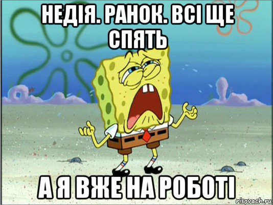 недія. ранок. всі ще спять а я вже на роботі, Мем Спанч Боб плачет