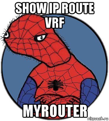 show ip route vrf myrouter, Мем Спудик