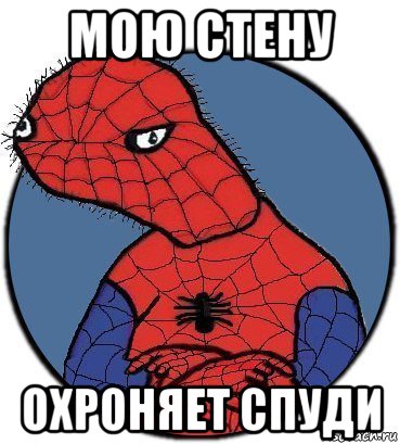 мою стену охроняет спуди