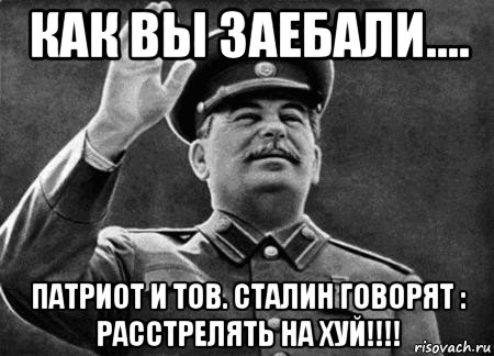 как вы заебали.... патриот и тов. сталин говорят : расстрелять на хуй!!!!, Мем сталин расстрелять