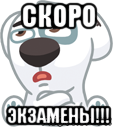 скоро экзамены!!!