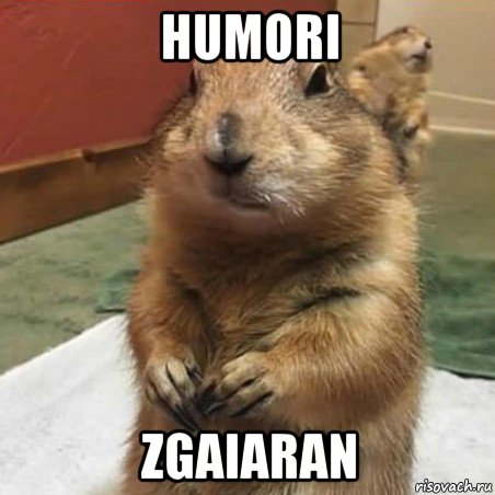 humori zgaiaran, Мем Суслик спрашивает