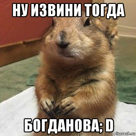 ну извини тогда богданова; d, Мем Суслик спрашивает