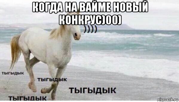 когда на вайме новый конкрус)00) , Мем   Тыгыдык