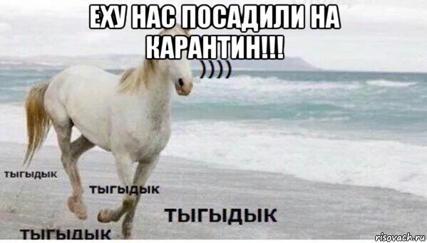 еху нас посадили на карантин!!! , Мем   Тыгыдык