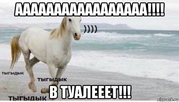 ааааааааааааааааа!!!! в туалееет!!!, Мем   Тыгыдык