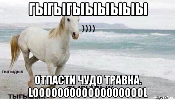 гыгыгыыыыыы отпасти чудо травка. looooooooooooooooool, Мем   Тыгыдык