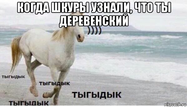 когда шкуры узнали, что ты деревенский , Мем   Тыгыдык