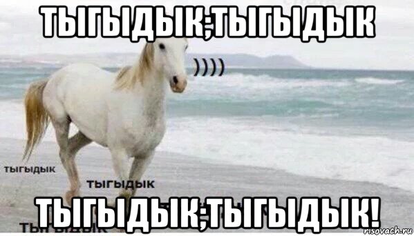 тыгыдык;тыгыдык тыгыдык;тыгыдык!, Мем   Тыгыдык