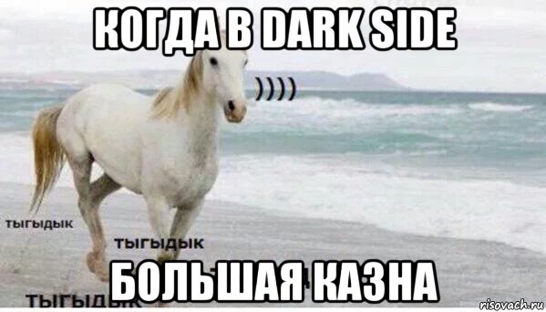 когда в dark side большая казна, Мем   Тыгыдык