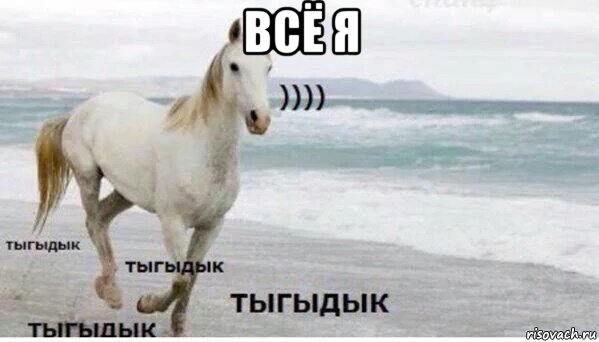 всё я , Мем   Тыгыдык