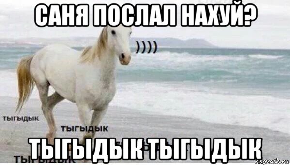 саня послал нахуй? тыгыдык тыгыдык, Мем   Тыгыдык